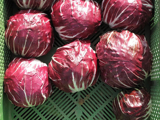 Leonardo Radicchio - 1 ct