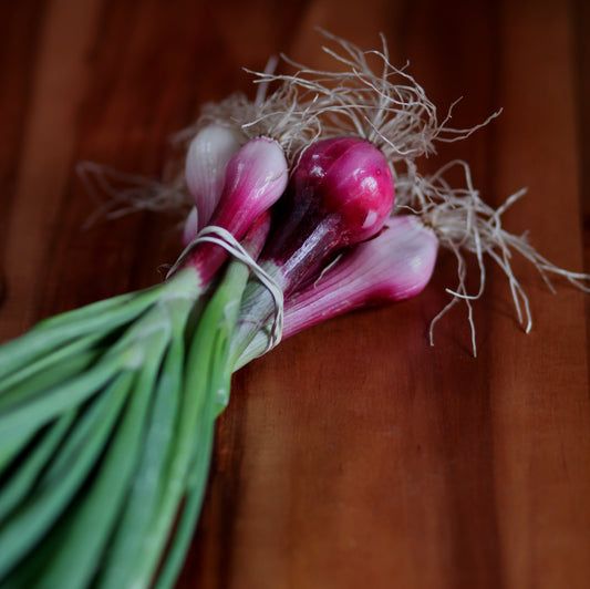 Red Spring Onions - 1 bu