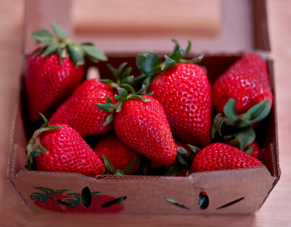 Albion Strawberries - 1 pint