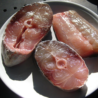 Pacific Barracuda - 1 lb