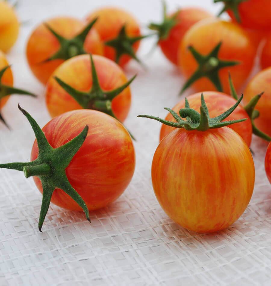 Bumblebee Cherry Tomatoes - 1 pint