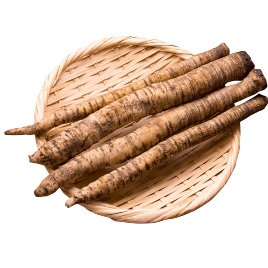 Burdock Root - 1 lb