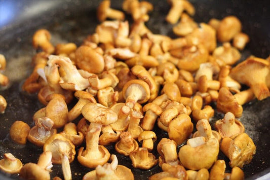 Button Chanterelles - .5 lbs