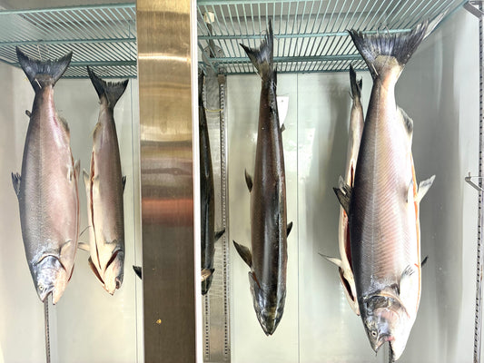 Dry-Aged Chinook (aka King) Salmon - 1 lb
