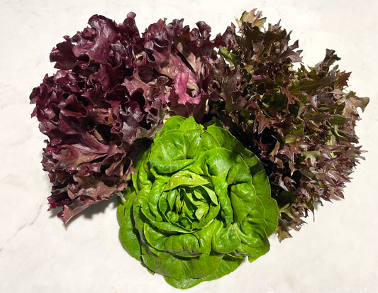 Mixed Salanova Lettuce - 1 ct