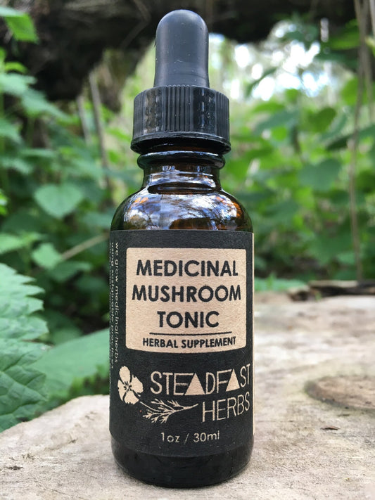 Medicinal Mushroom Immunity Tonic - 1 oz