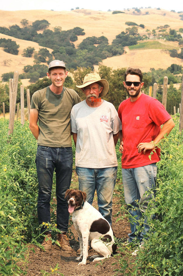 Three people standing with a dog in a field with hills in the background