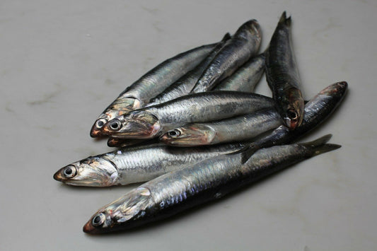 Whole Anchovies - 1 lb