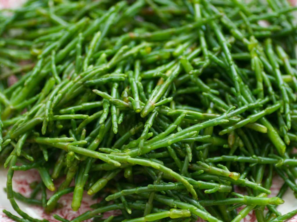 Wild Sea Beans - .5 lbs
