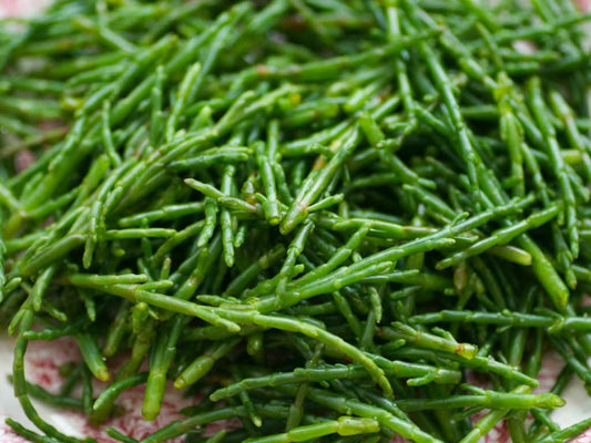 Wild Sea Beans - .5 lbs