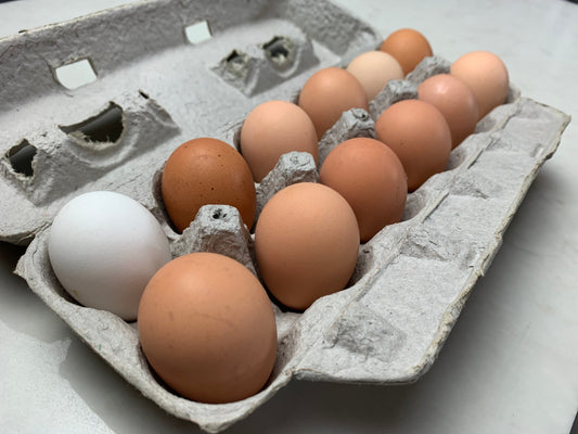 Chicken Eggs (Large) - 1 dozen