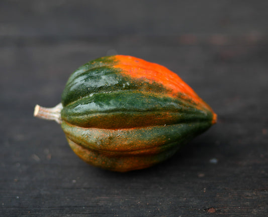 Acorn Squash