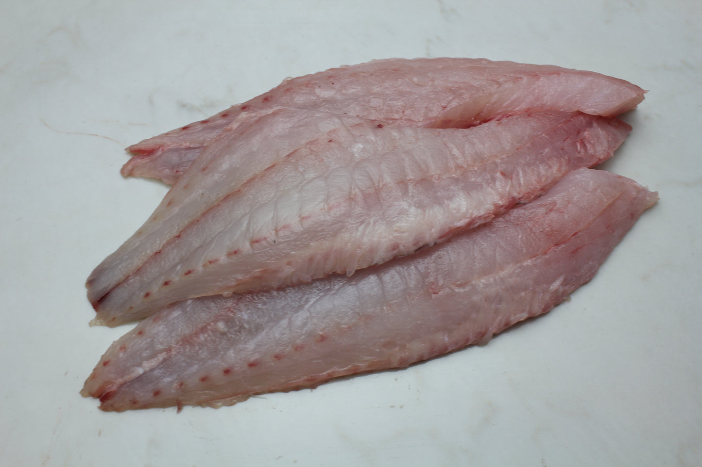 FROZEN & VAC SEALED Vermilion Rockfish - 1 lb