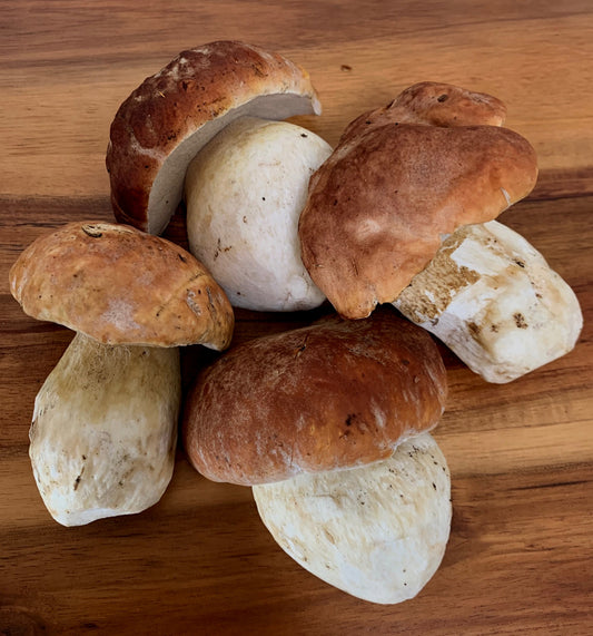 Spring Porcini #1 -.5 lbs