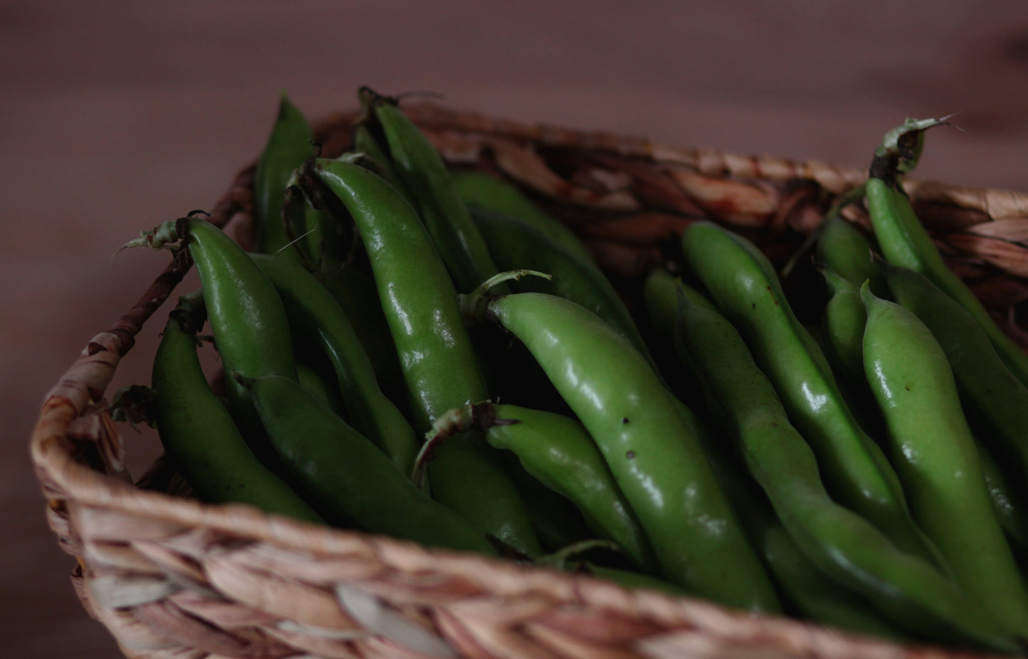 Fava Beans - 2 lbs