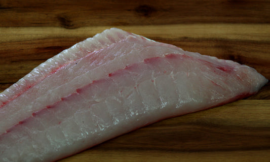 California Halibut - 1 lb