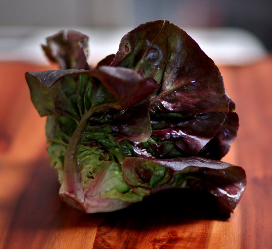 Red Little Gem Lettuce - 3 ct