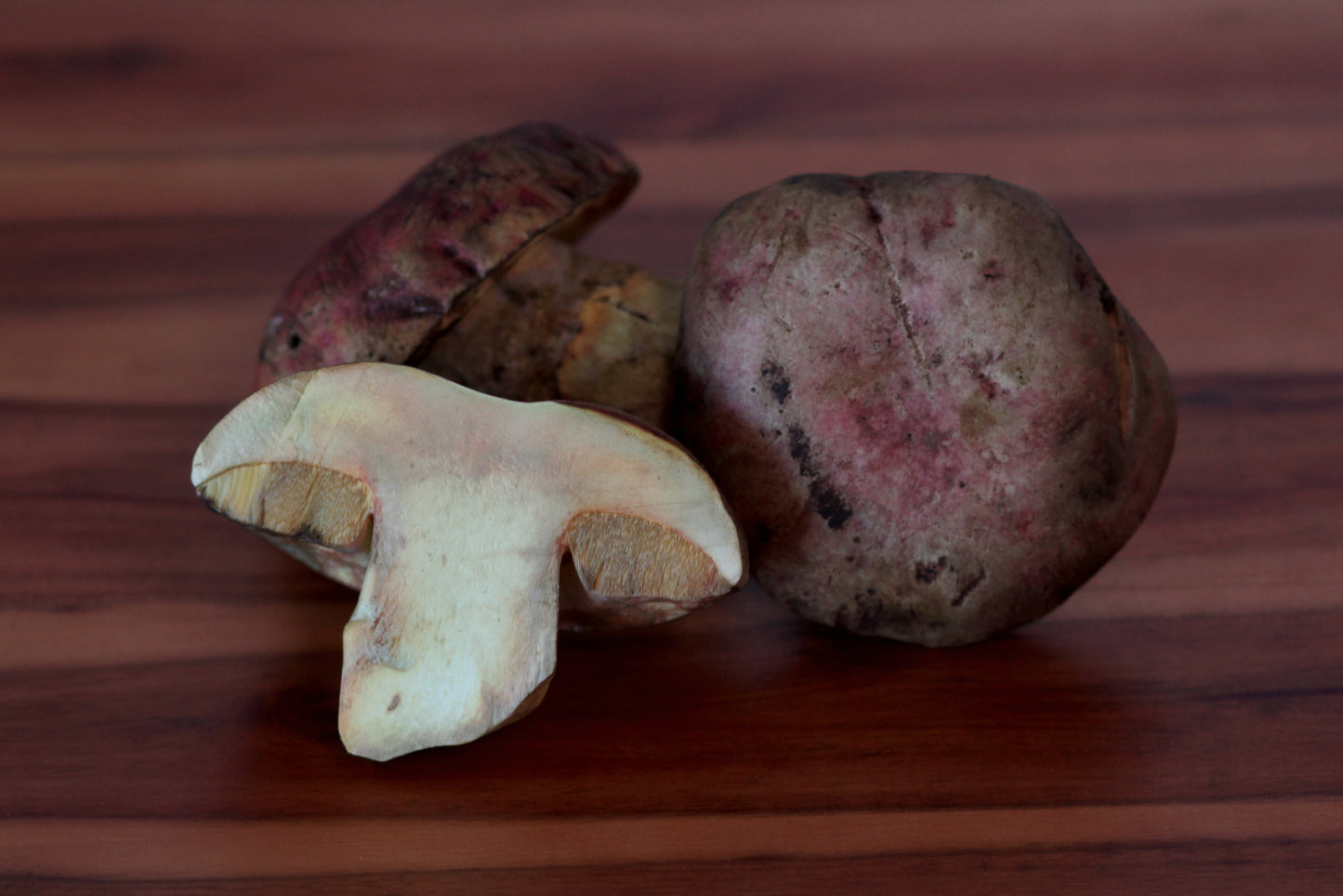 Butter Boletes - .5 lbs