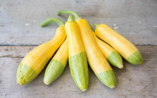 Zephyr Squash - 1 lb