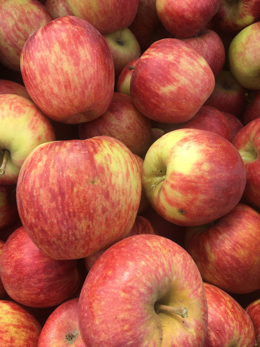 Dry-Farmed Jonagold Apples - 2 lbs