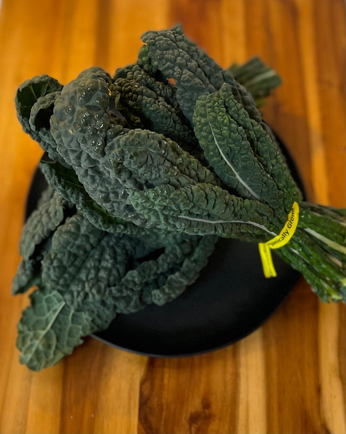 Dino (Lacinato) Kale - 1 bu