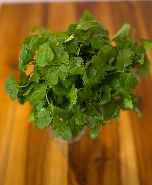 Cilantro - 1 bu