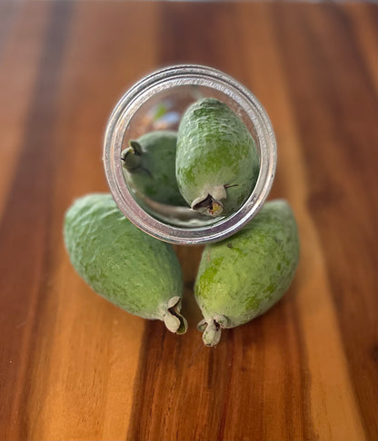 Dry-Farmed Pineapple Guavas - 1 lb