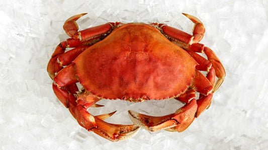 Whole Cooked Dungeness Crab - 1.75-2.00 lbs