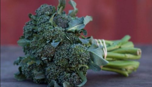 Sweet Baby Broccoli - 1 bu