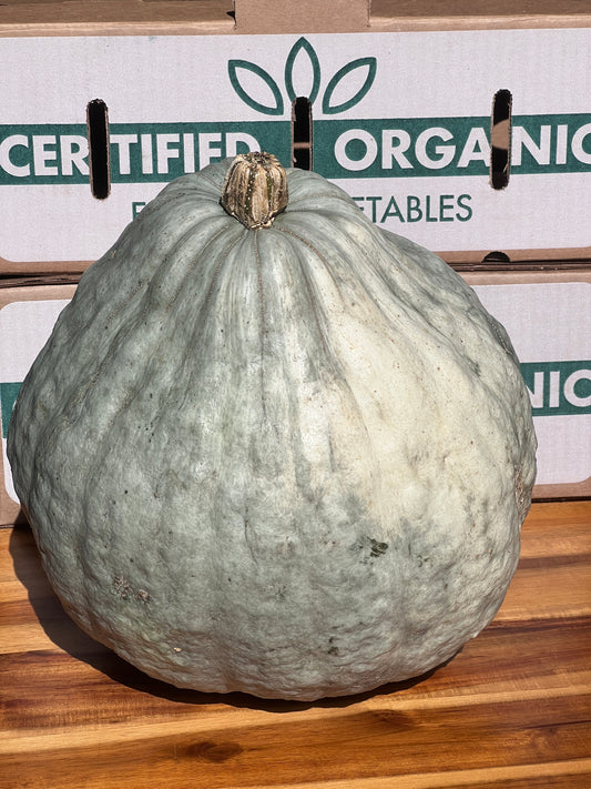 Blue Hubbard Squash