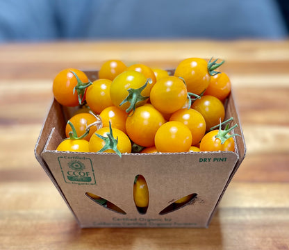 Sungold Cherry Tomatoes - 1 pint