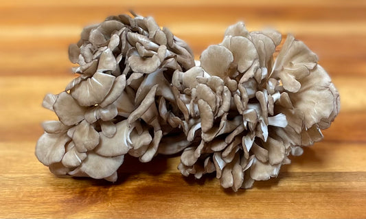 Maitake - .5 lbs