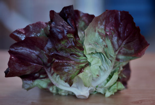 Red Butter Lettuce - 2 ct