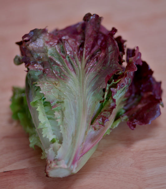 Red Leaf Lettuce - 1 ct