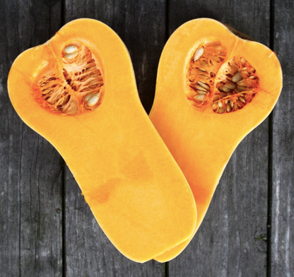 Butternut Squash - 1 ct