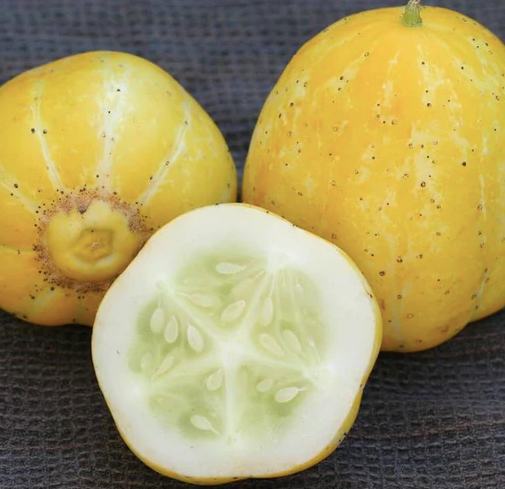 Lemon Cucumber - 2 ct