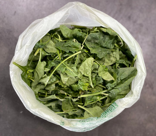 Savoy Spinach - .5 lbs