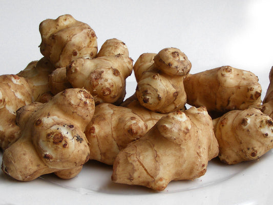 Sunchokes (Jerusalem Artichoke)