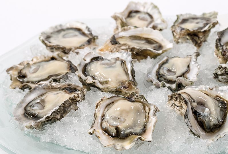 Kumamoto Oysters - FRIDAY ONLY